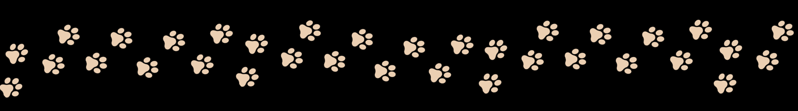 Cat Catalog
Cat Tracks