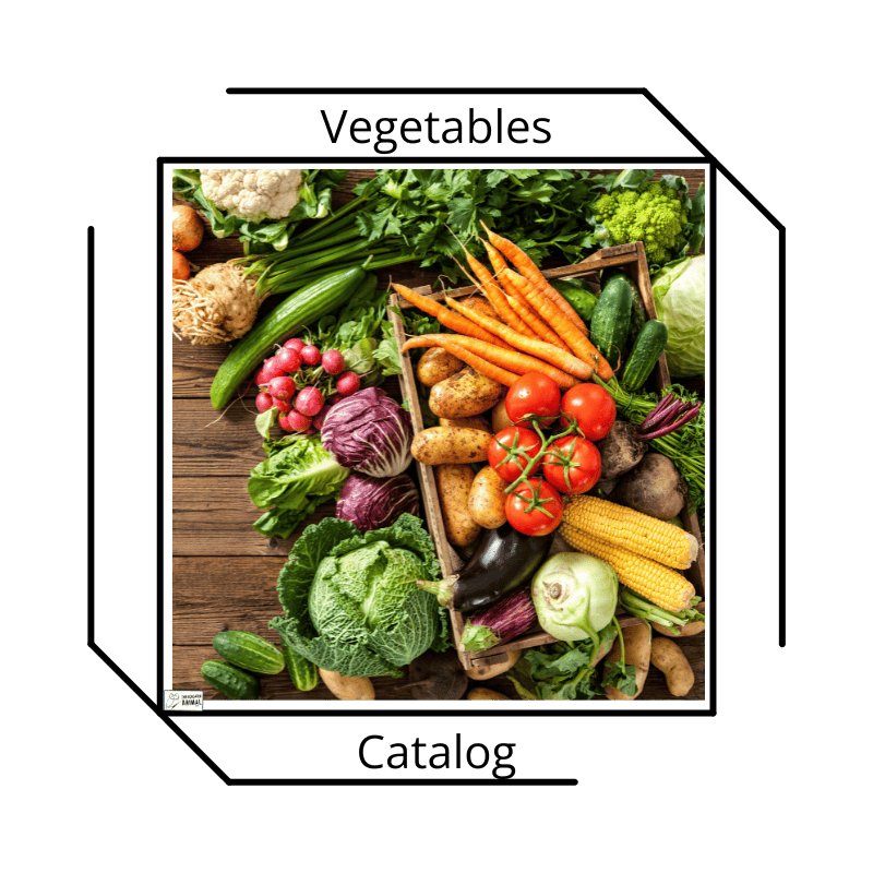 Vegetable Catalog The Educated Animal