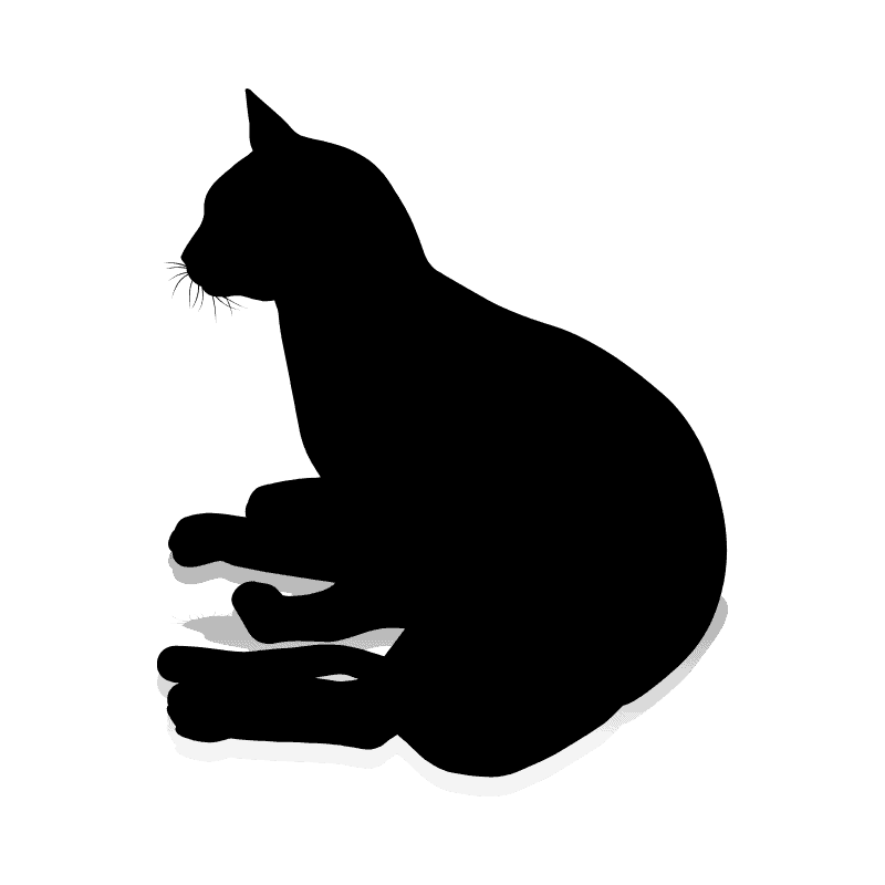 Cat laying but awake and aware