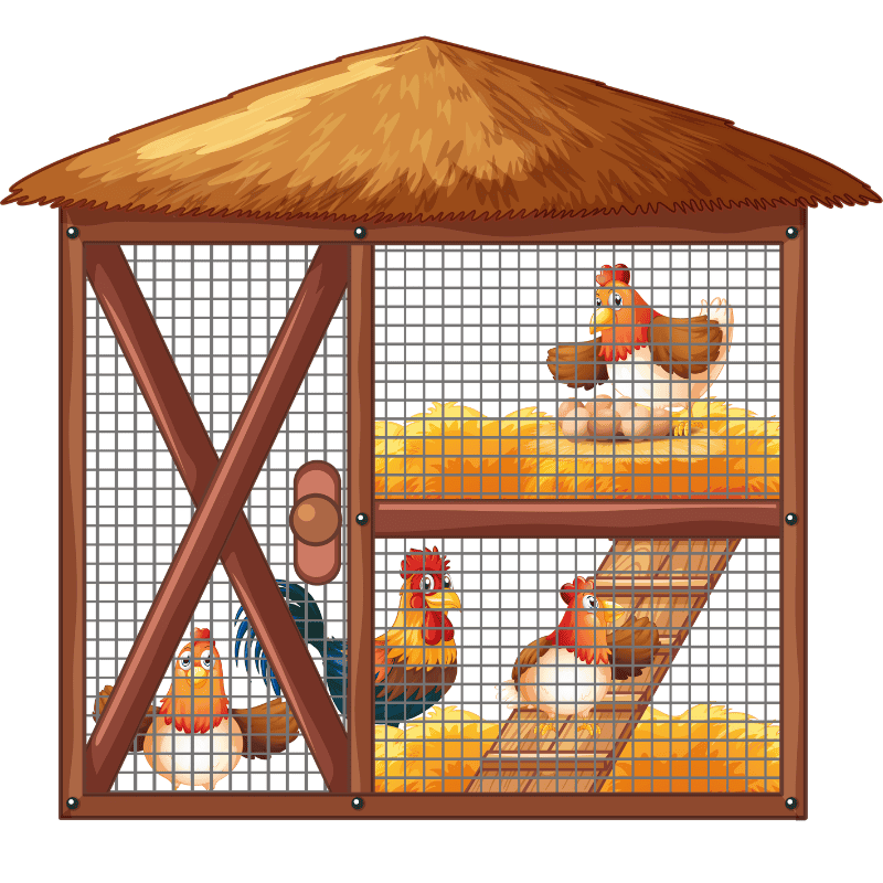 a chicken in a cage