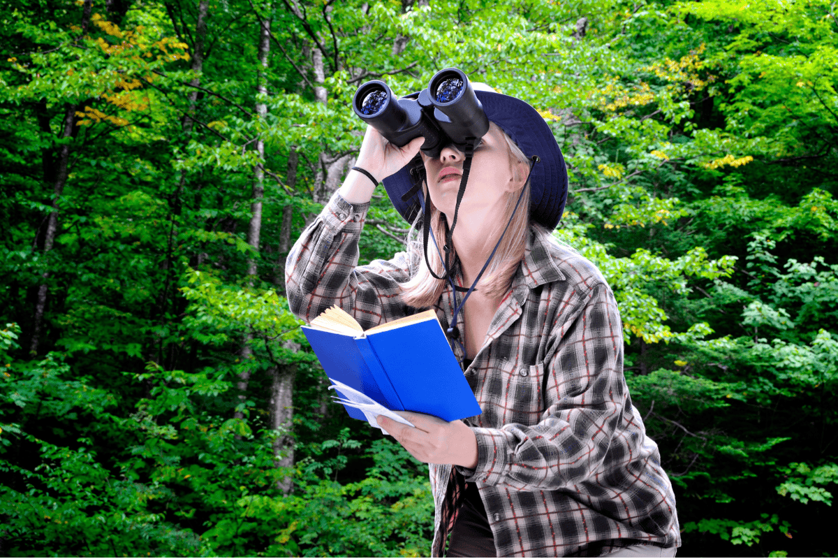 How to become an ornithologist