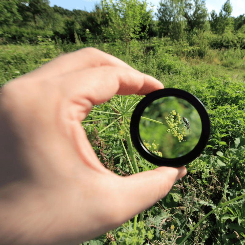a hand holding a black lens