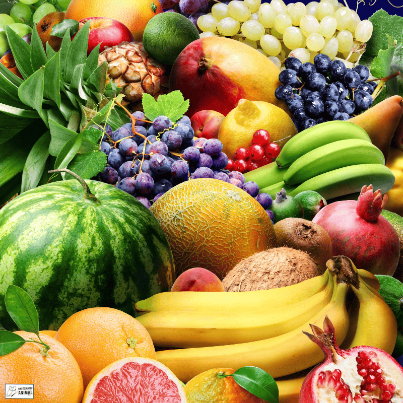 a group of different fruits